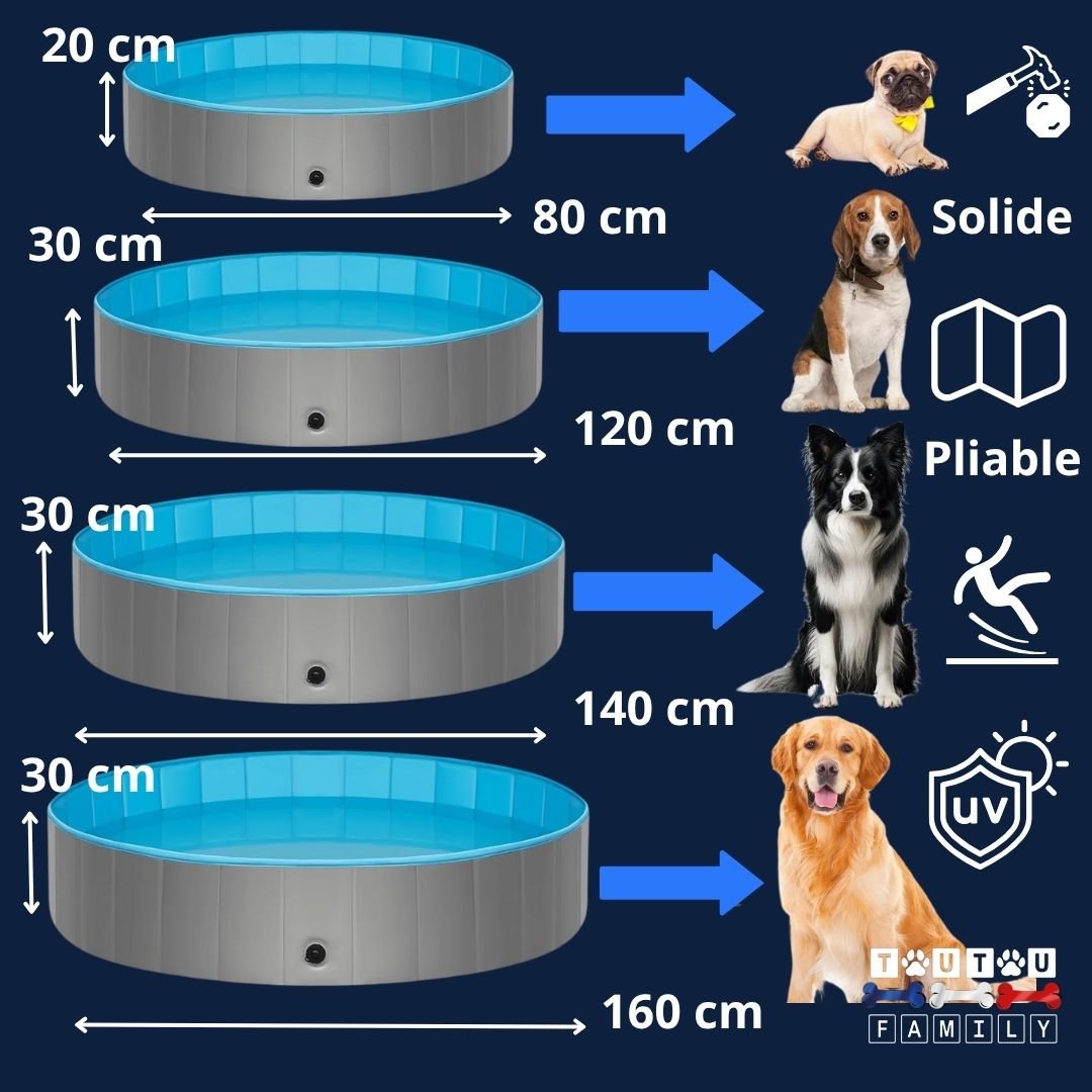 Piscine pour chiens - XXLToutou™