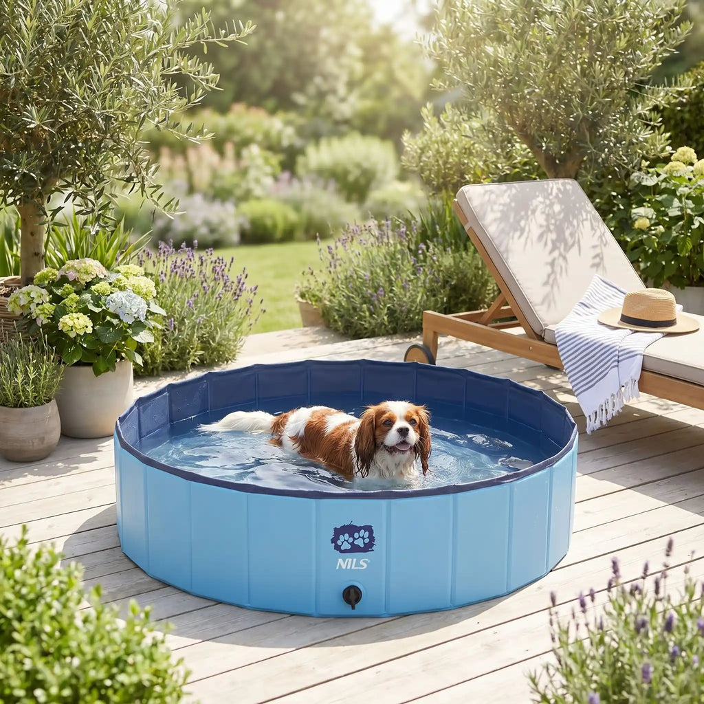 Piscine pour chiens - PliableToutou™