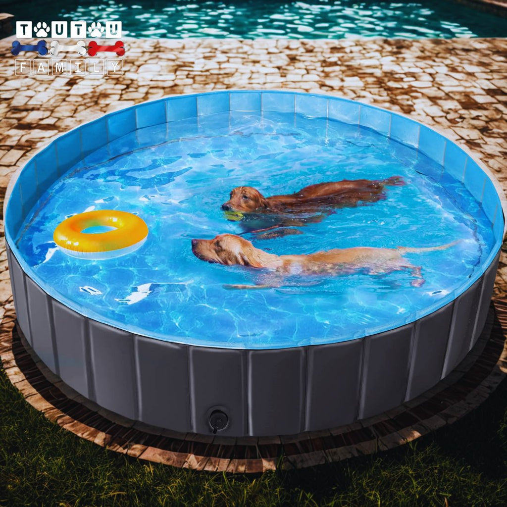 Piscine pour chiens - XXLToutou™