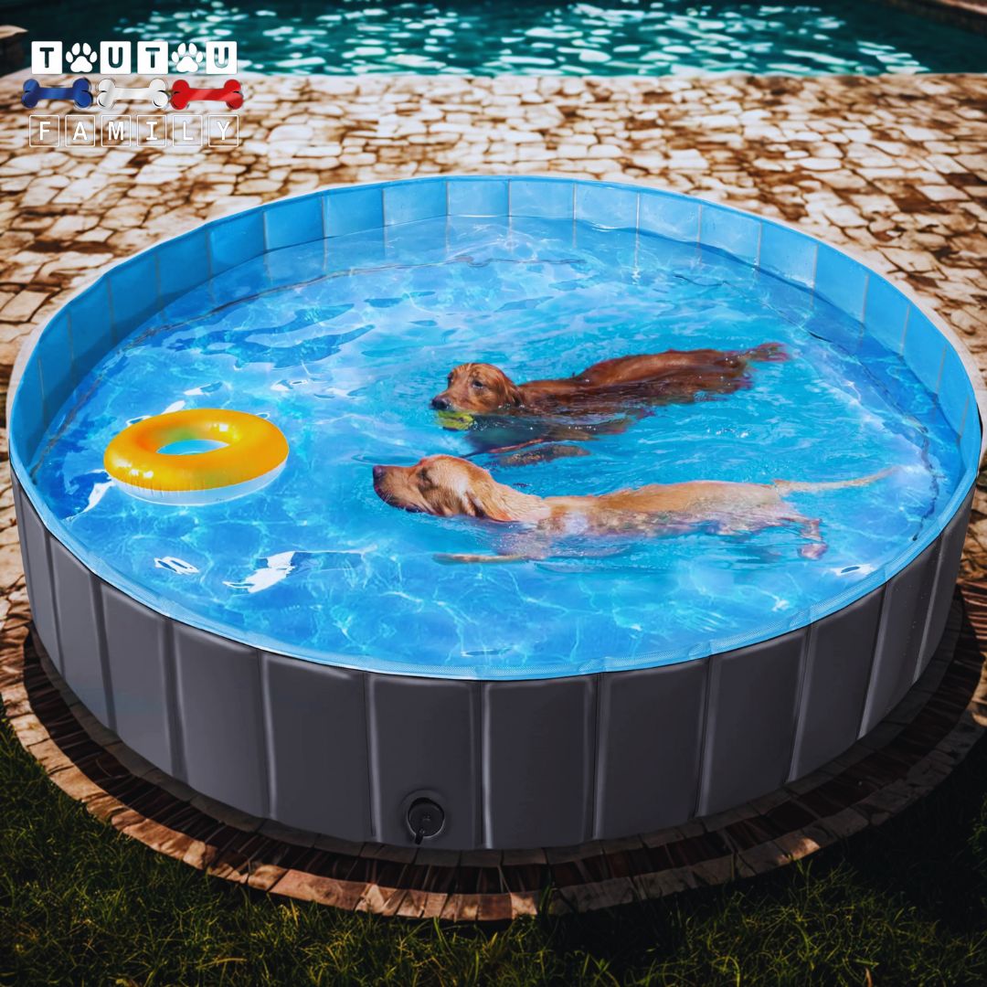Piscine pour chiens - XXLToutou™