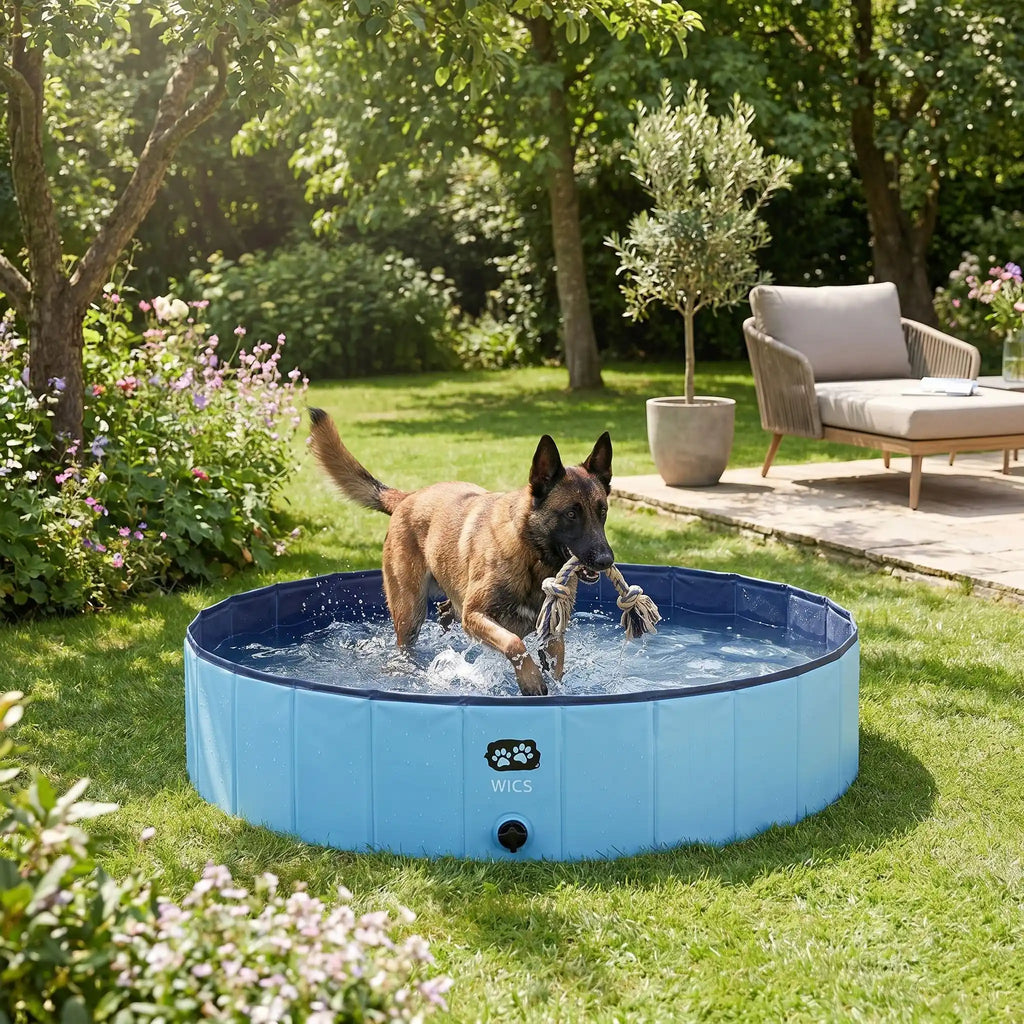 Piscine pour chiens - PliableToutou™