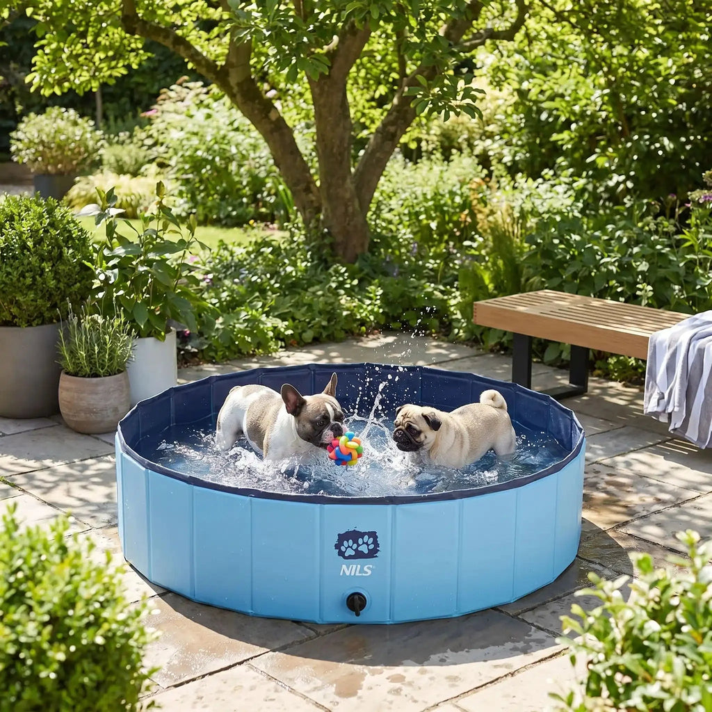 Piscine pour chiens - PliableToutou™