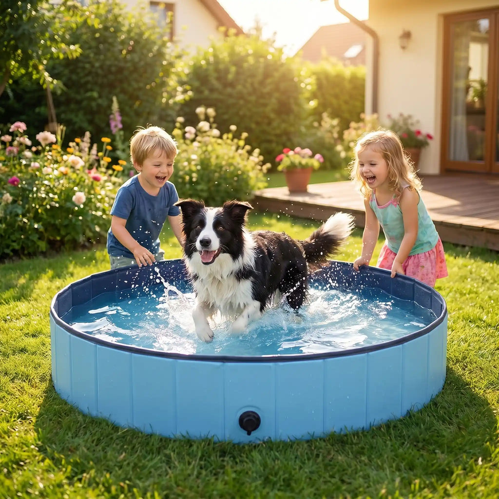 Piscine pour gros chien - XXLToutou™
