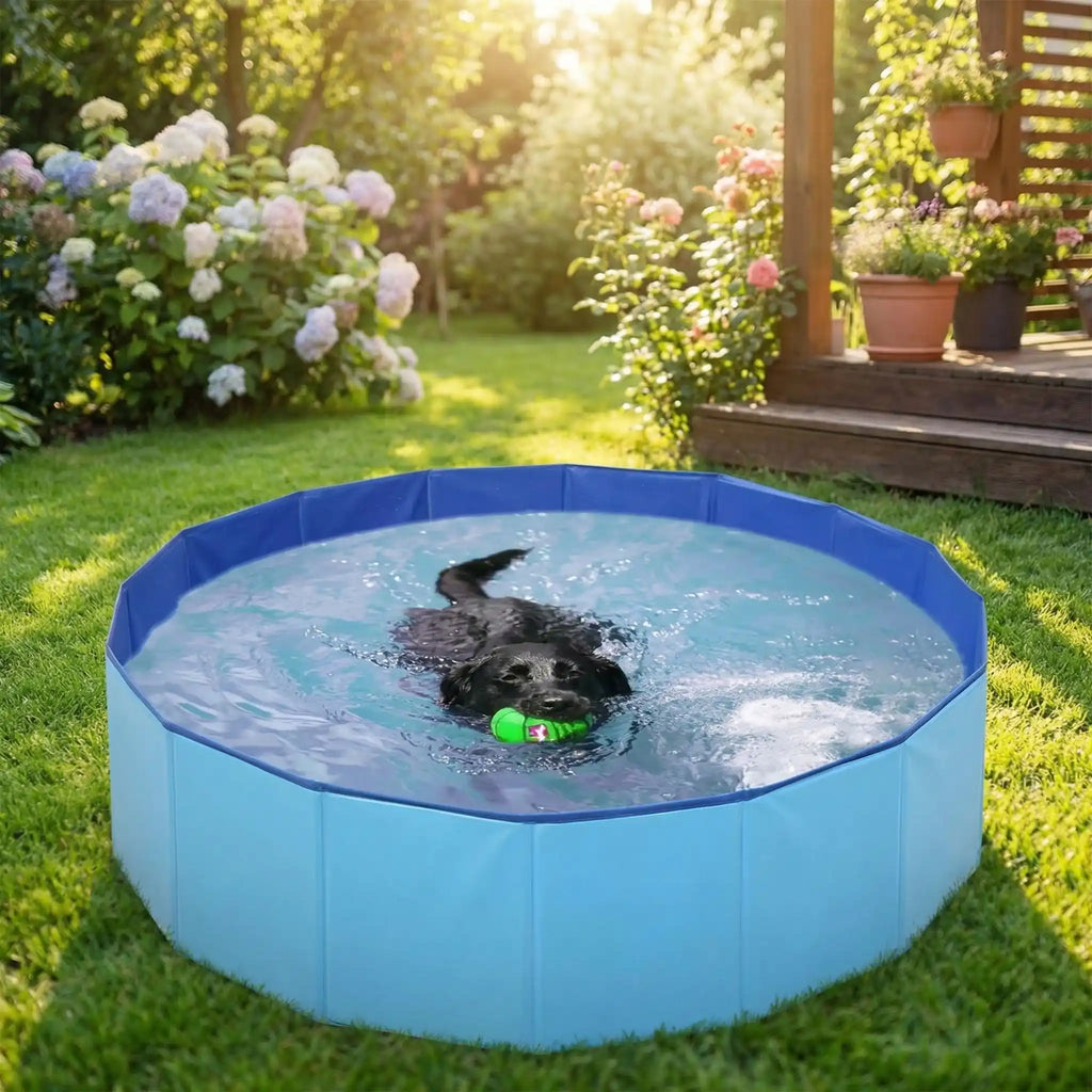 Piscine rigide pour chien  - CoolToutou™