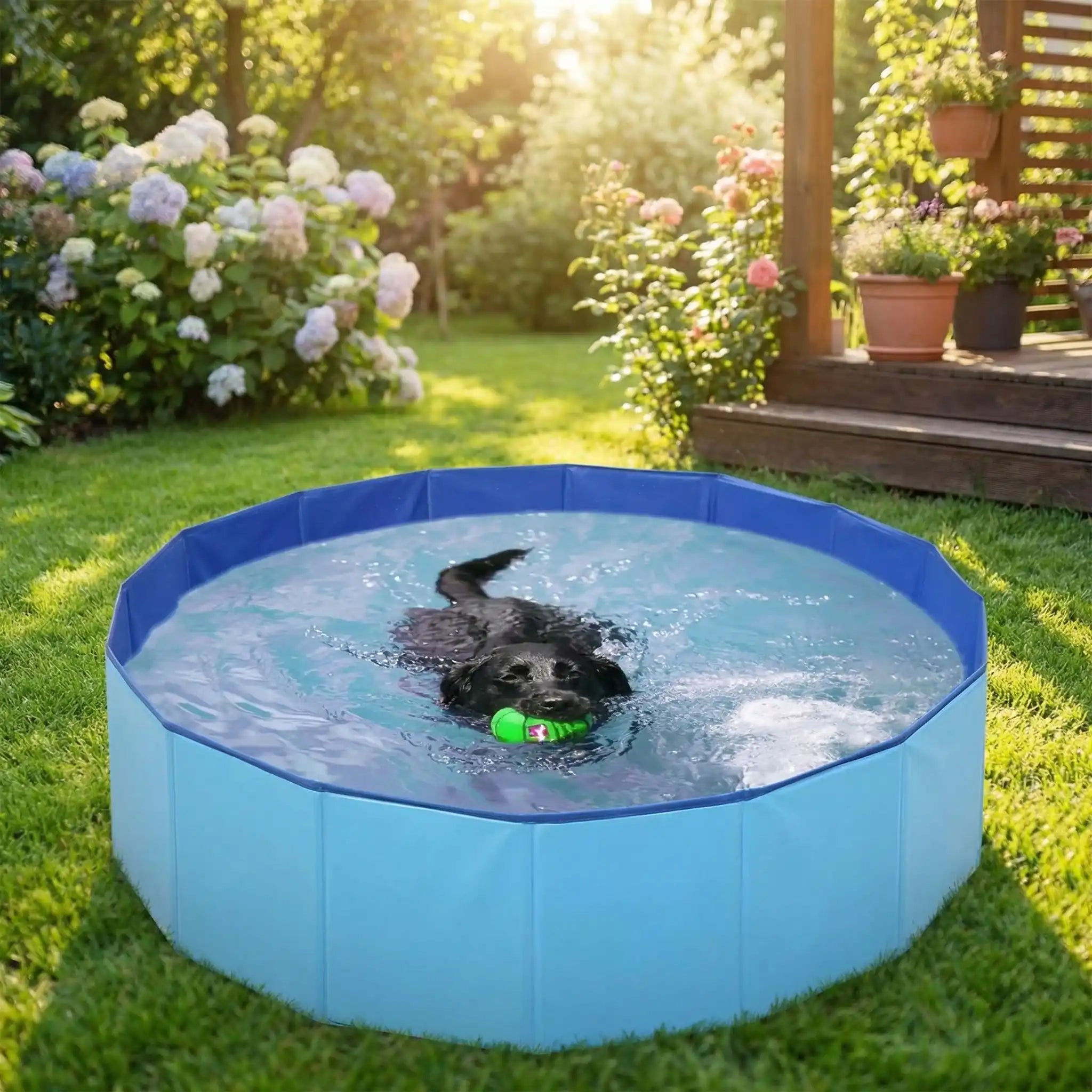 Piscine rigide pour chien  - CoolToutou™