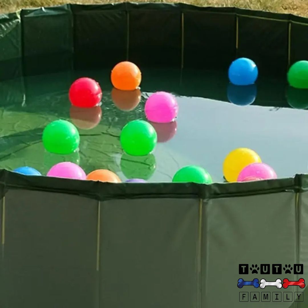 Piscine rigide pour chien - PliableToutou™
