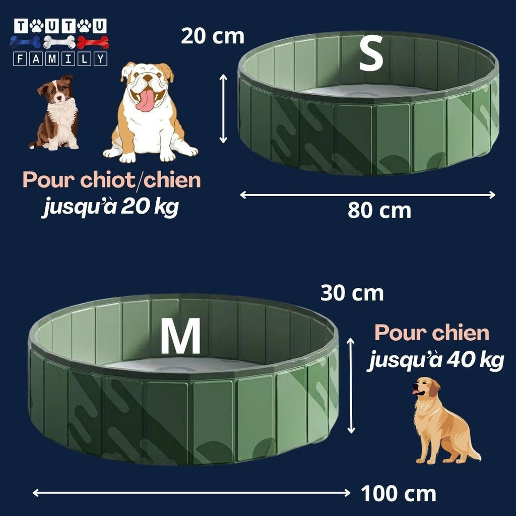 Piscine rigide pour chien - PliableToutou™