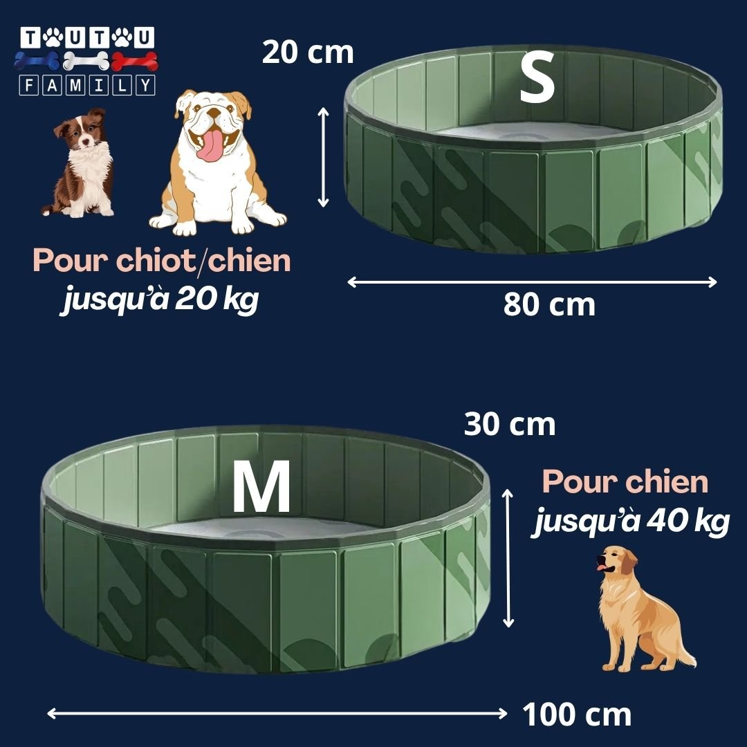 Piscine rigide pour chien - PliableToutou™