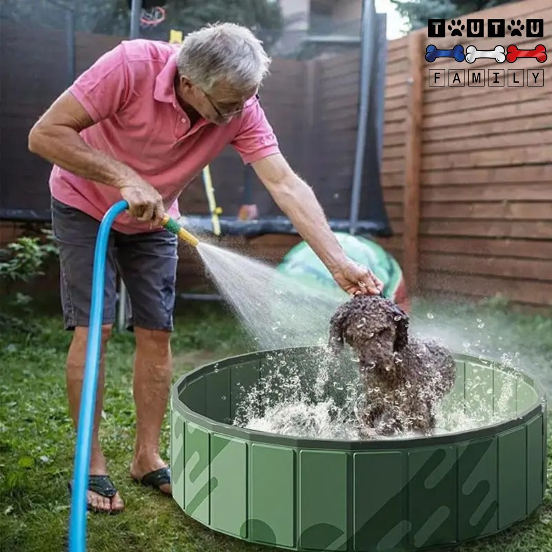 Piscine rigide pour chien - PliableToutou™