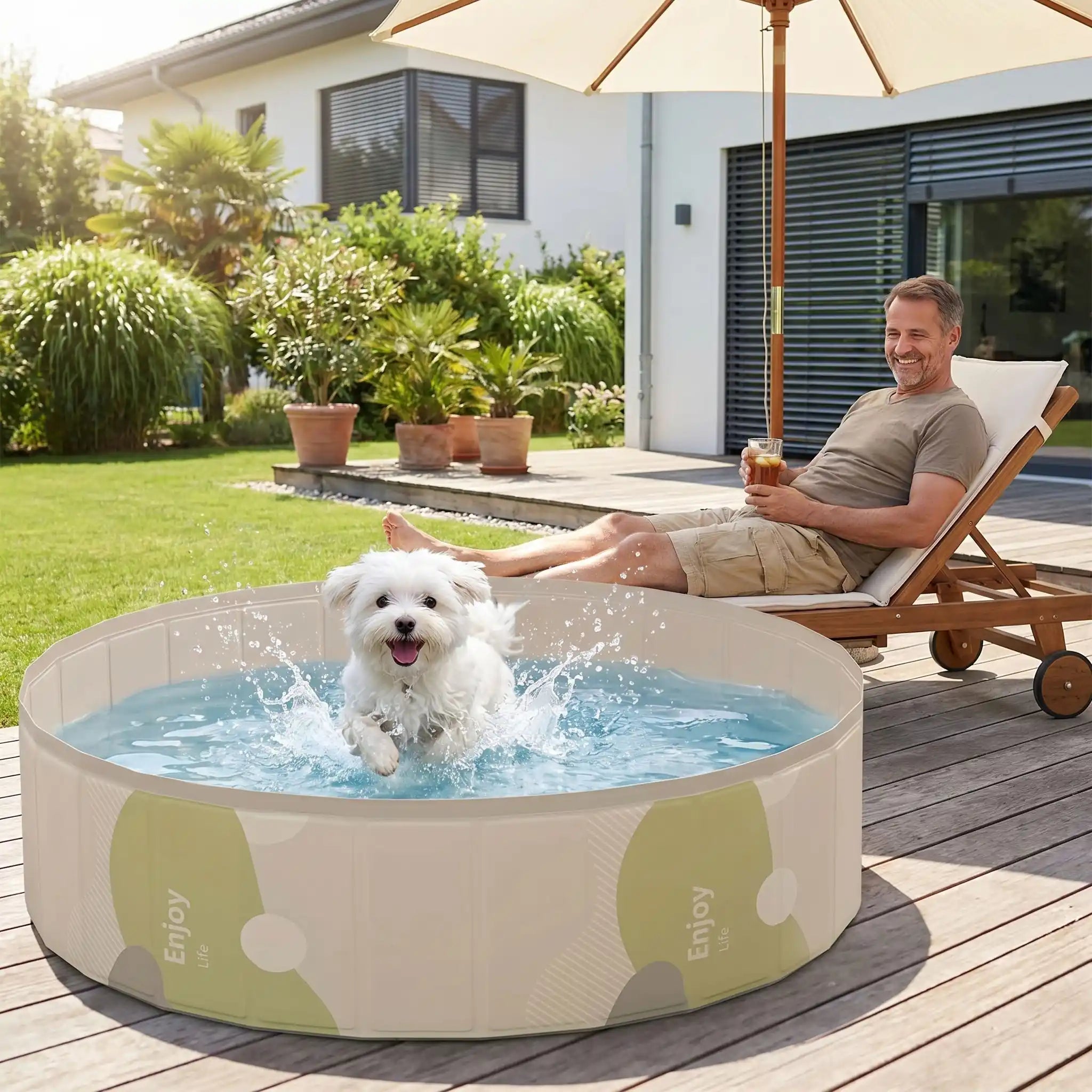 Piscines pour chiens - RigideToutou
