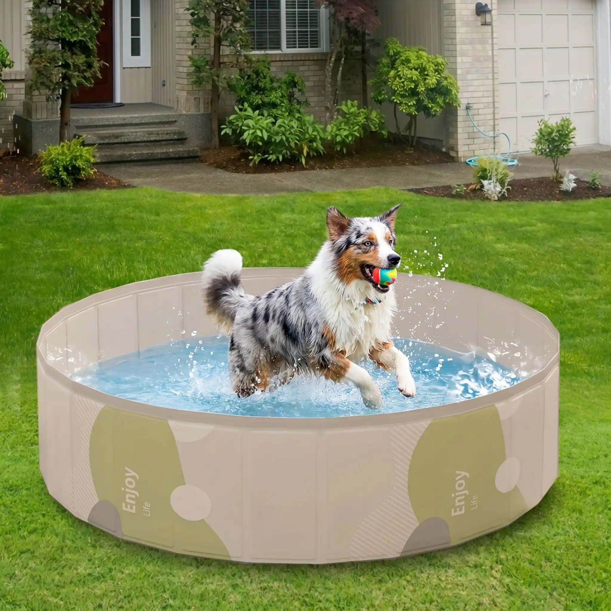 Piscines pour chiens - RigideToutou