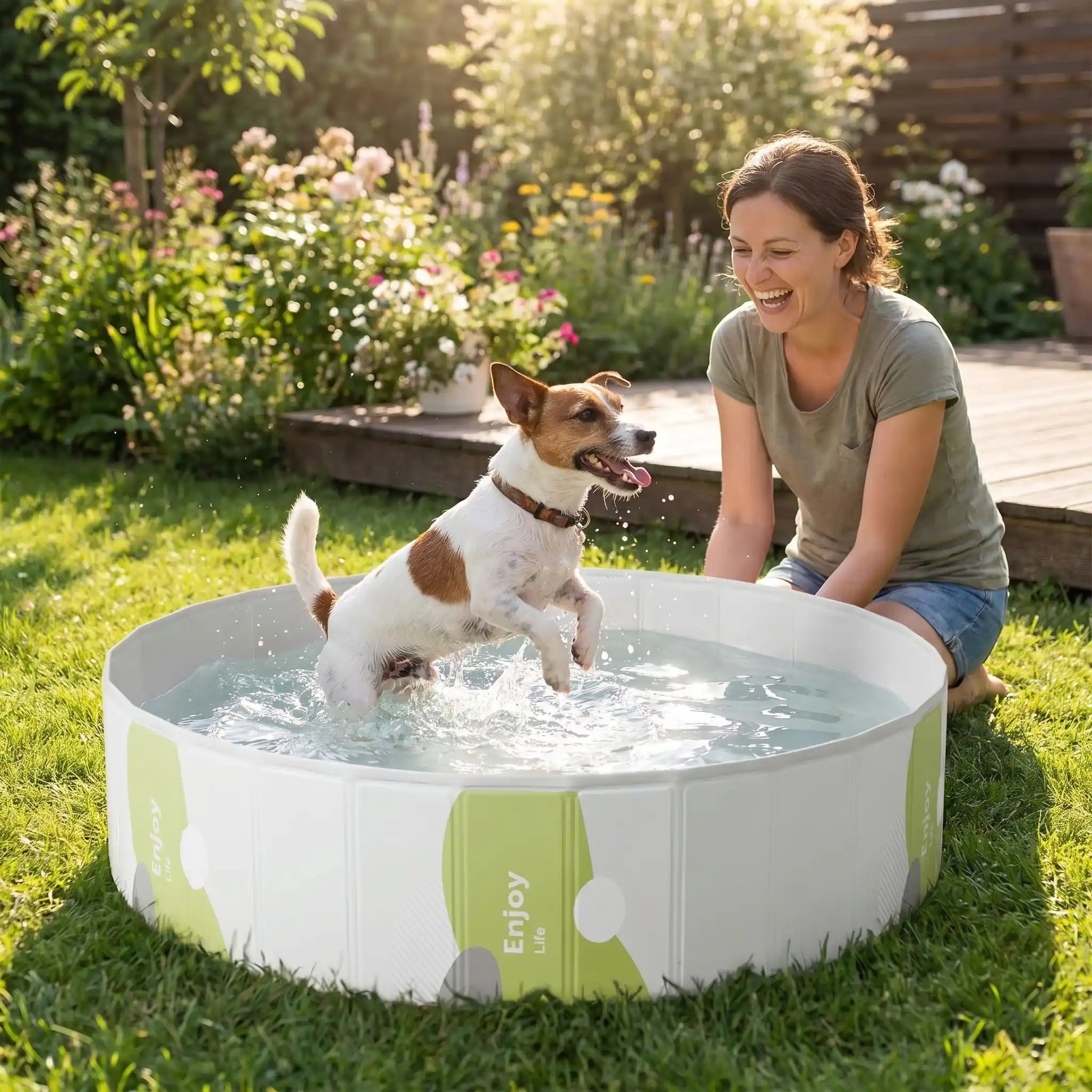 Piscines pour chiens - RigideToutou