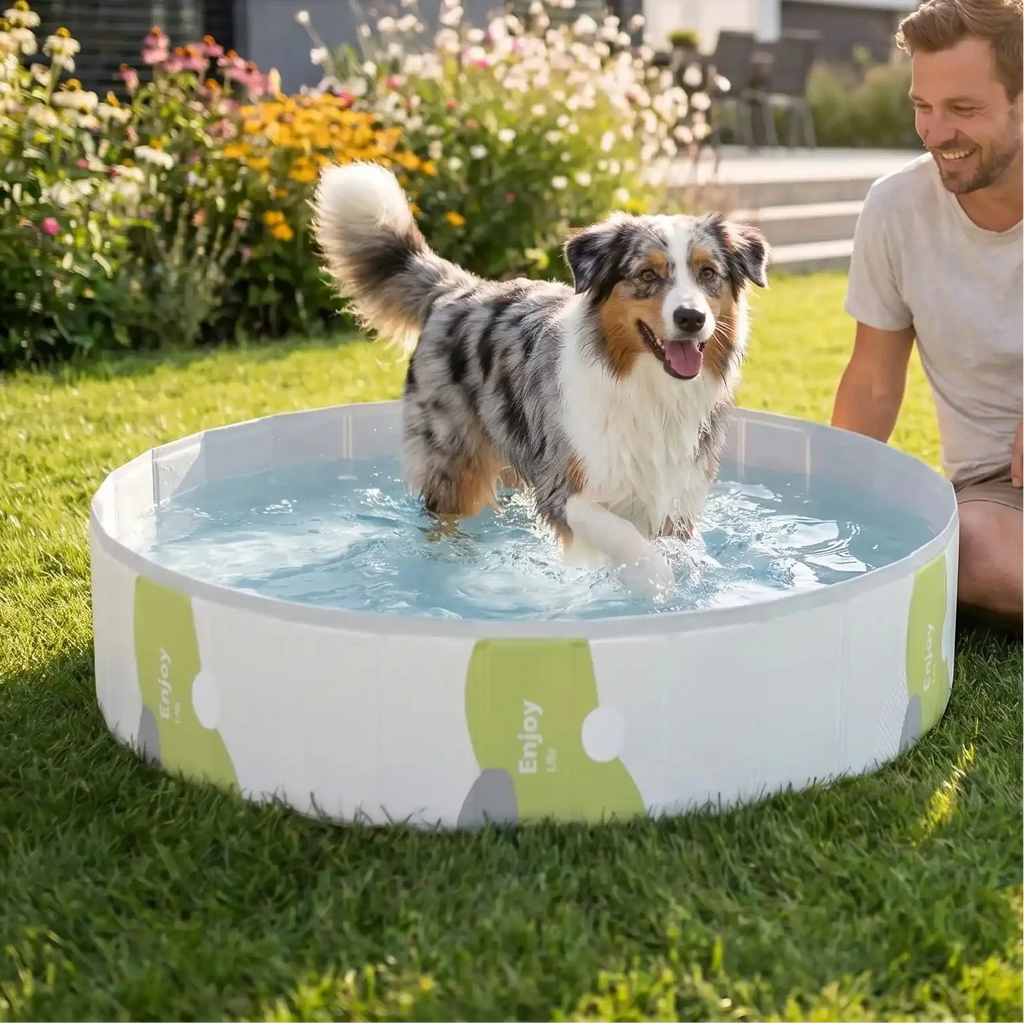 Piscines pour chiens - RigideToutou
