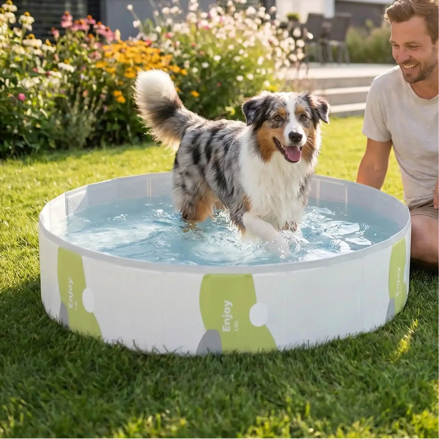 Piscines pour chiens - RigideToutou