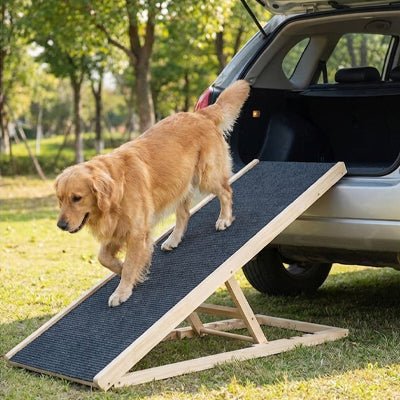 Rampe pour chien - PliableToutou™
