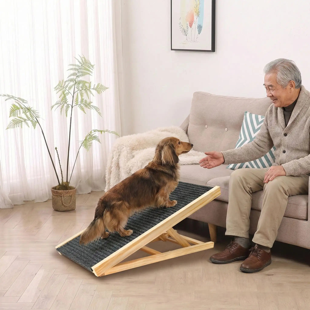 Rampe pour chien - PliableToutou™