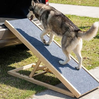 Rampe pour chien - PliableToutou™