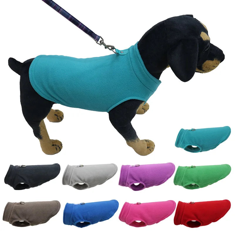 Veste Polaire Chien