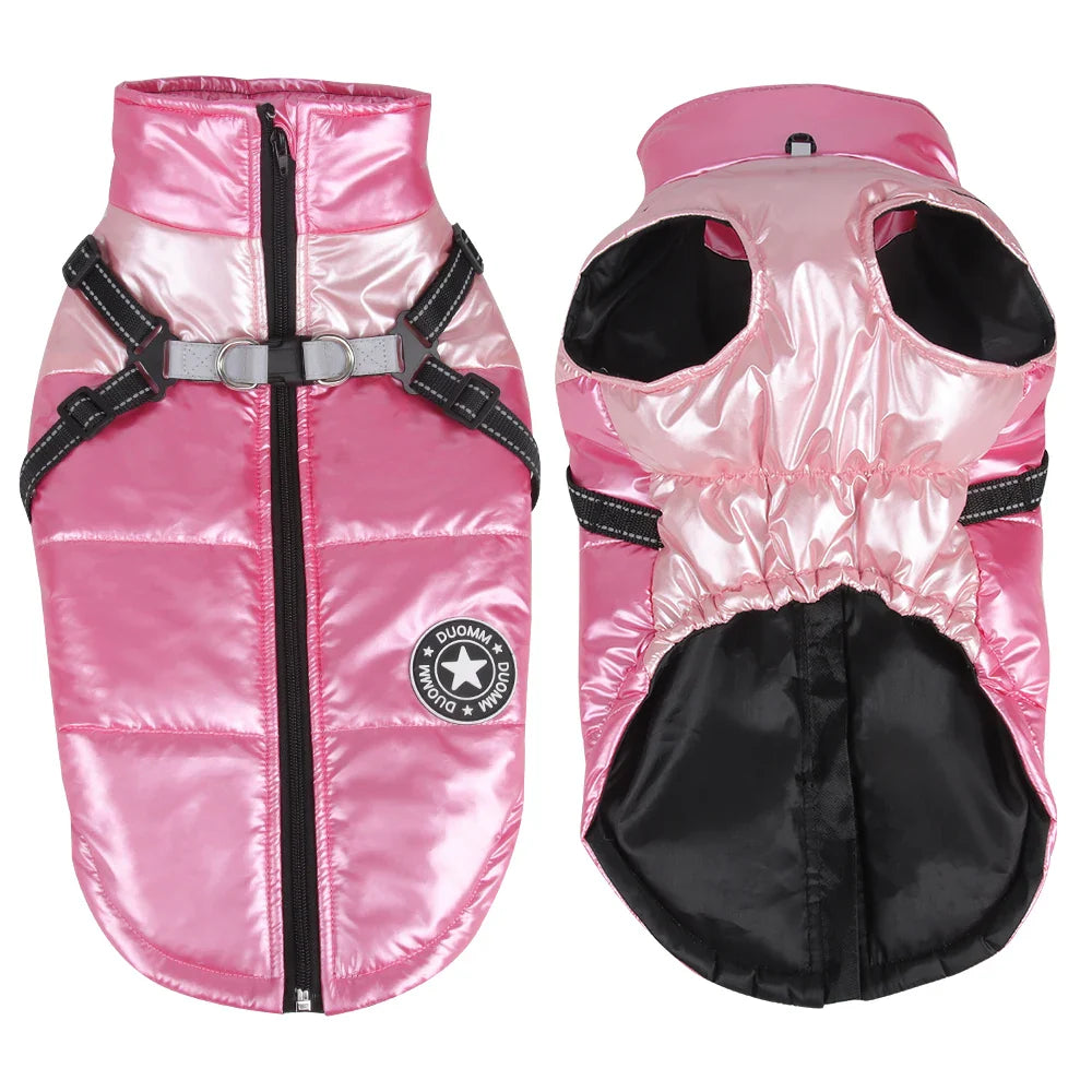 Manteau Yorkshire Terrier / Petit Chien