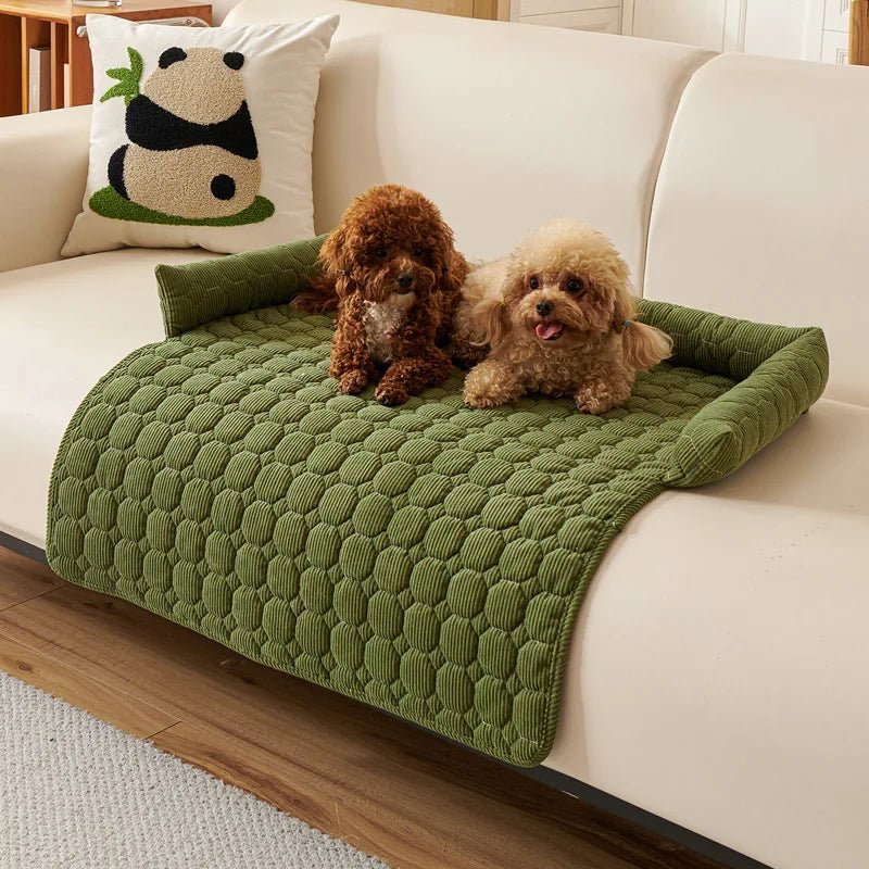 Protege canape chien - ImperméableToutou™