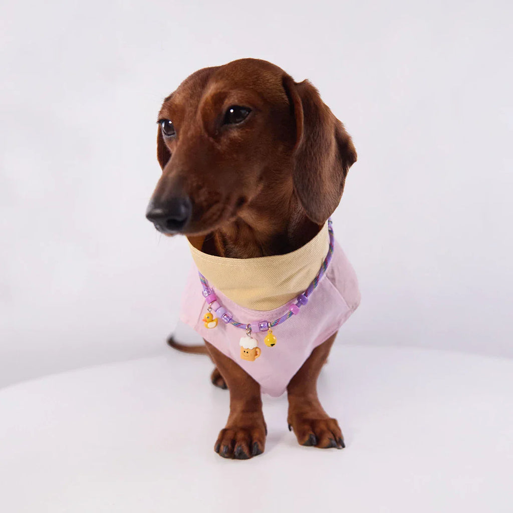 Veste Sans Manches Pour Chien
