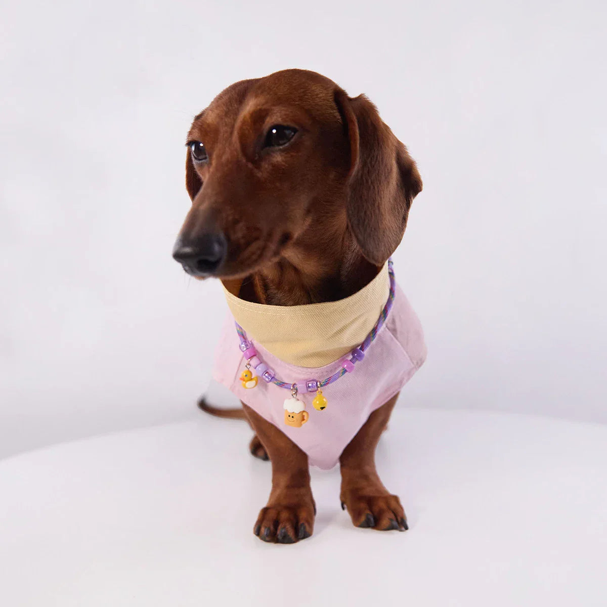 Veste Sans Manches Pour Chien