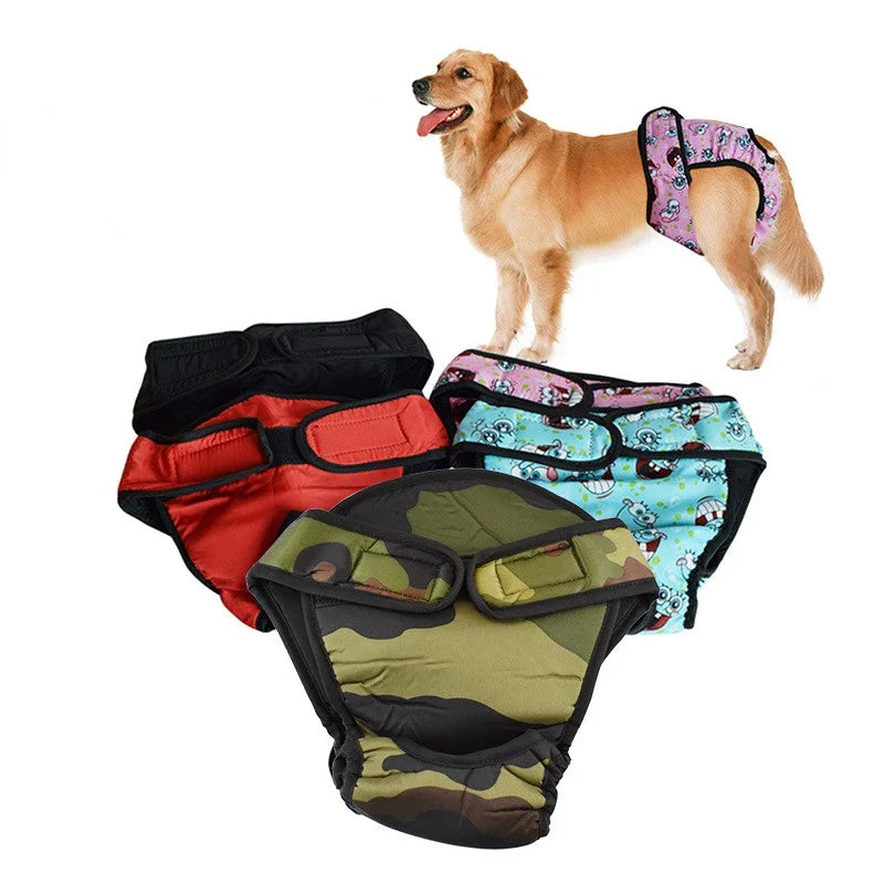 Slip pour Chien Femelle