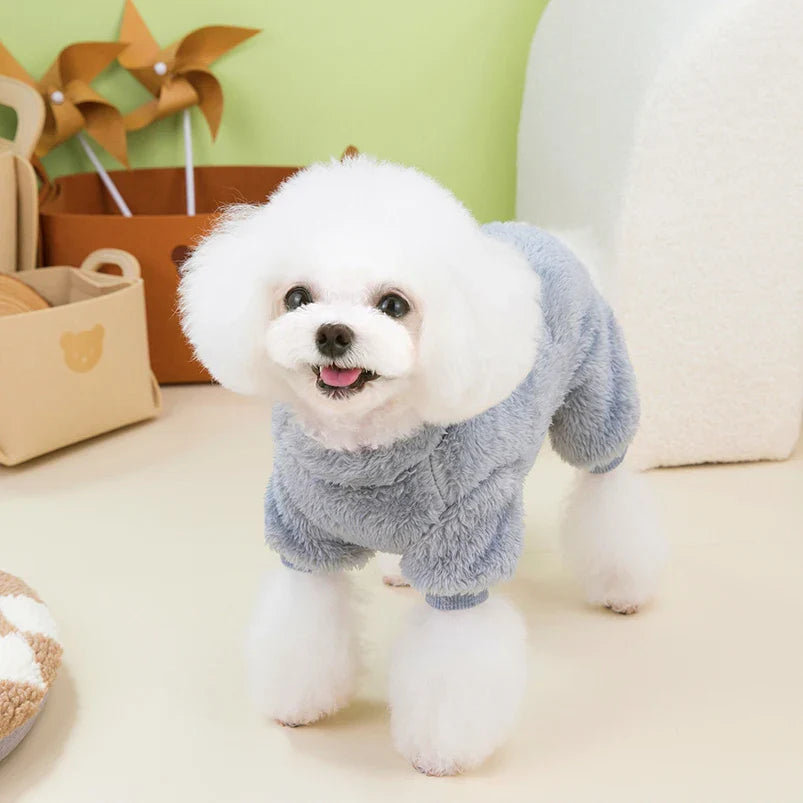 Pyjama Bichon Maltais / Frisé