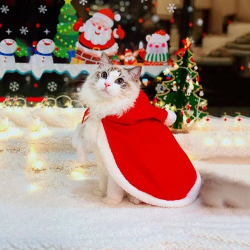 Déguisement Noël Chat