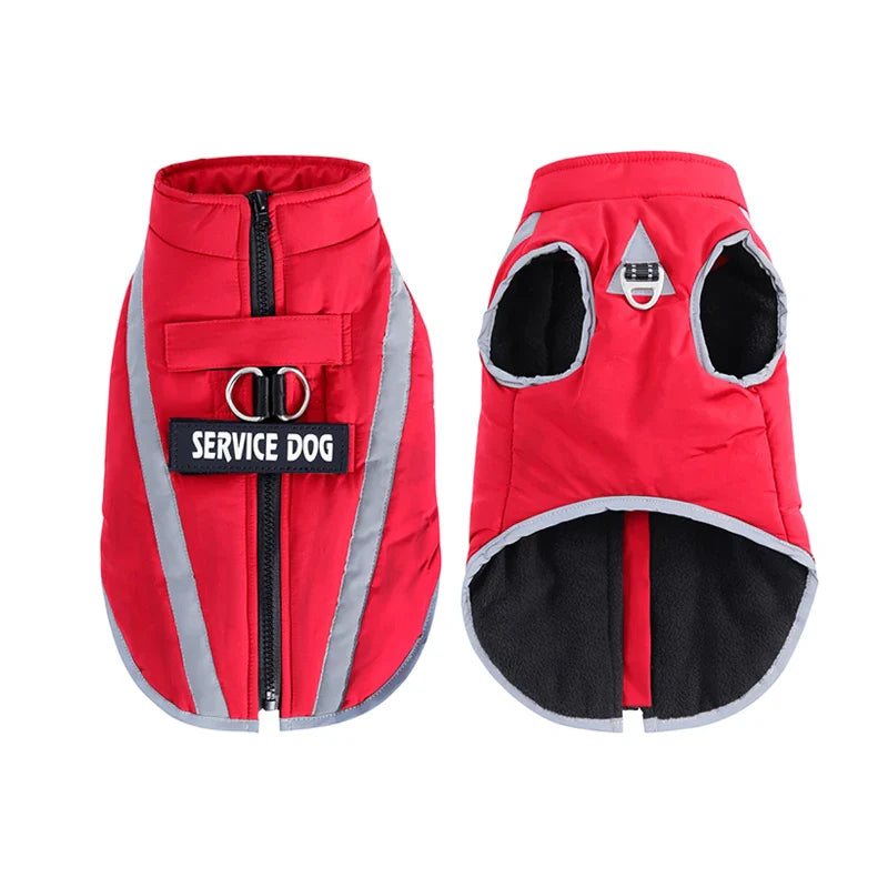 Veste Chien Hiver