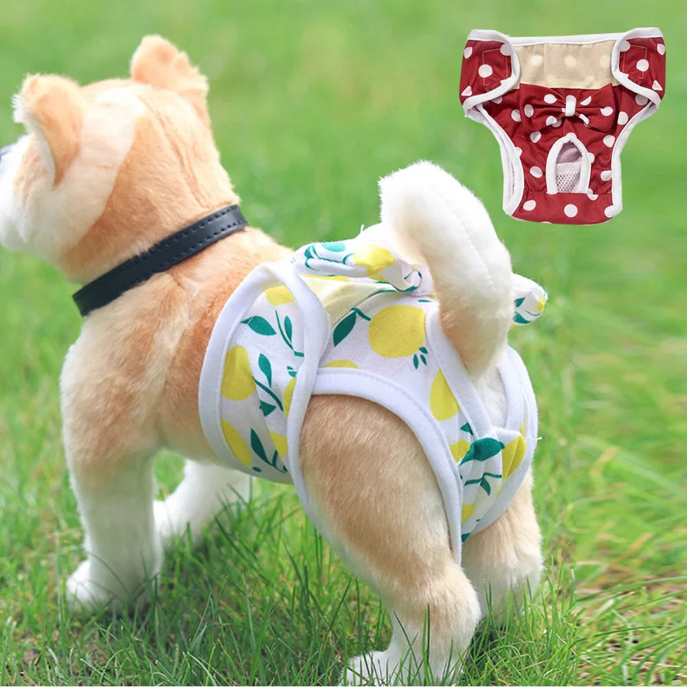 Culotte Hygiénique pour Chienne