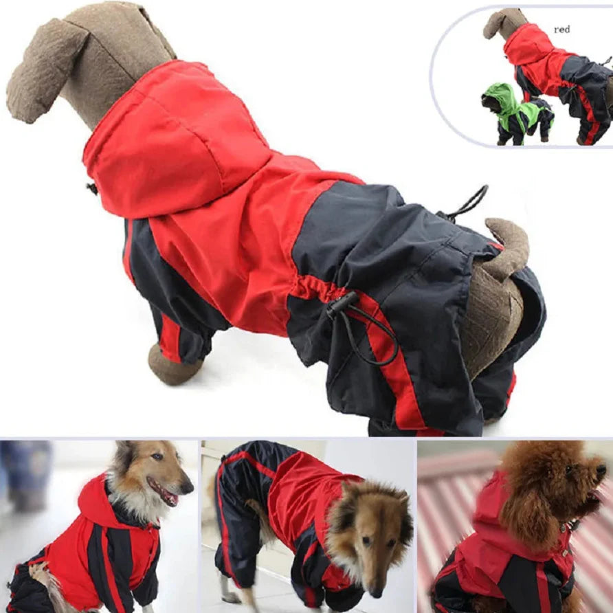 Manteau Chien Bull Terrier