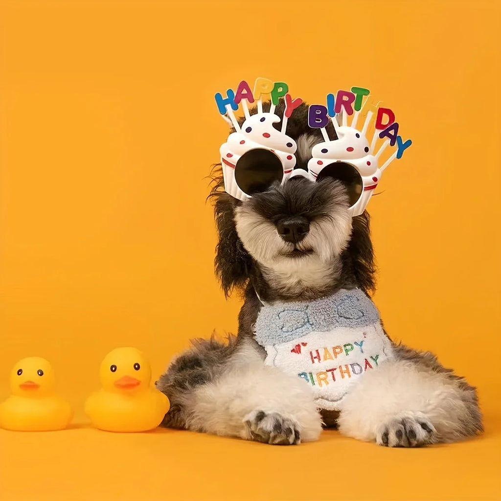 Déguisement Chien Anniversaire