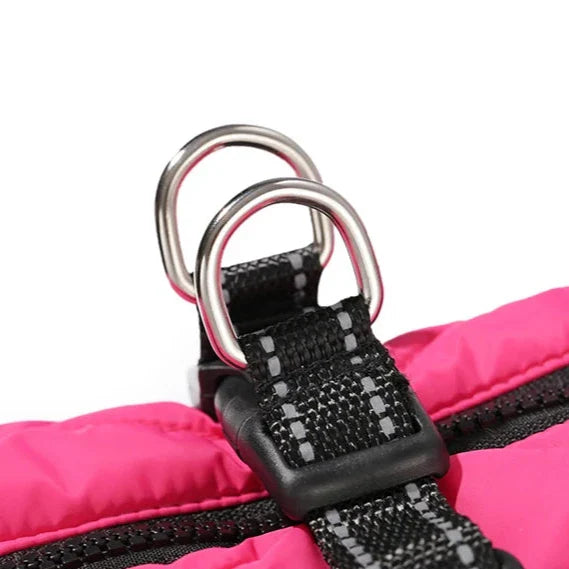 Manteau Chien Harnais Intégré