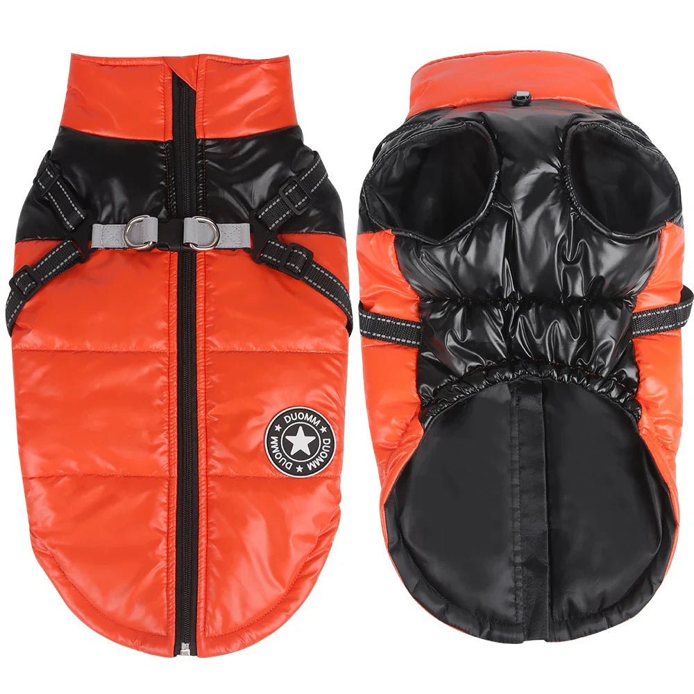 Manteau Yorkshire Terrier / Petit Chien