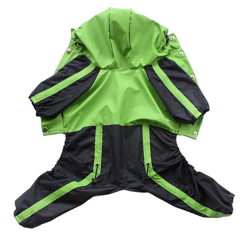 Manteau Chien Bull Terrier