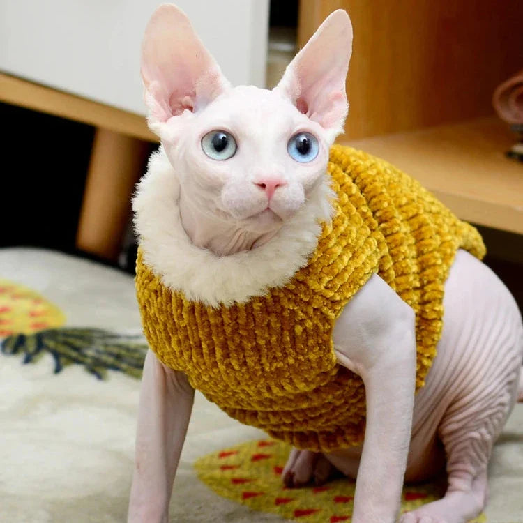 Pull à Fourrure pour Chat