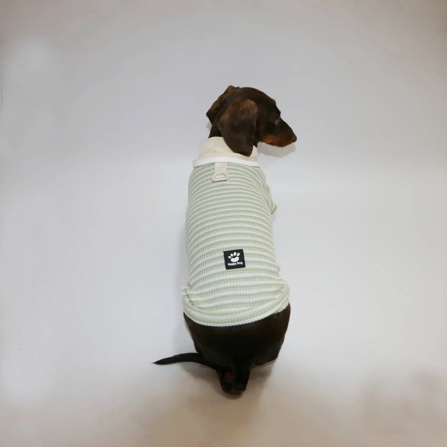 T-shirt Rayé Sans Manche Pour Chien Teckel