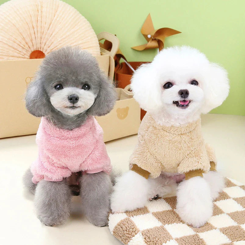 Pyjama Bichon Maltais / Frisé