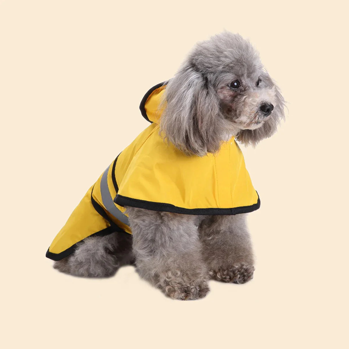 Manteau Réfléchissant Chien - Toutes Tailles