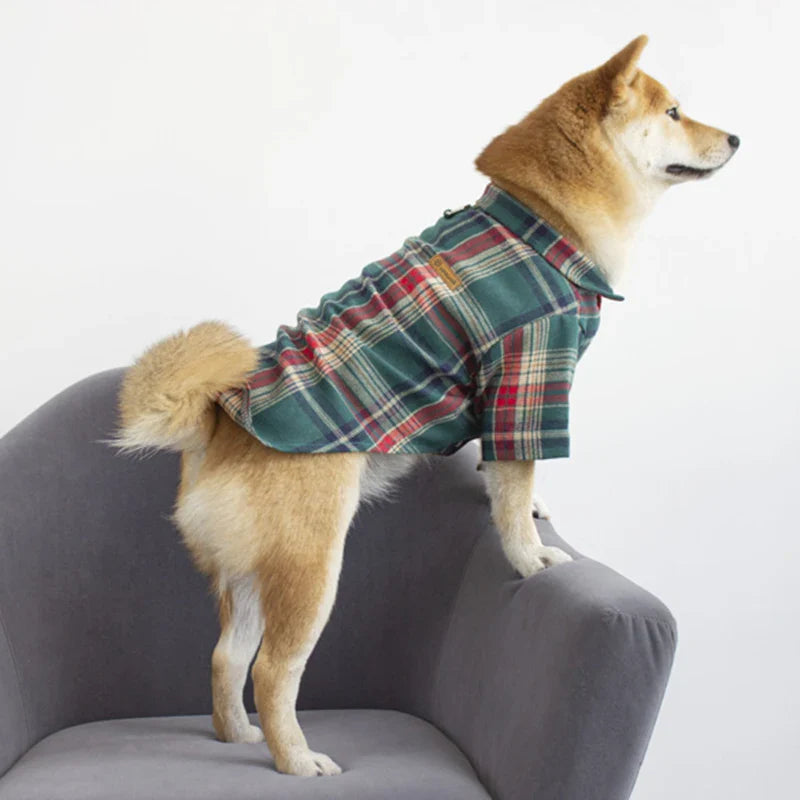 Chemise Ecossaise pour Chien