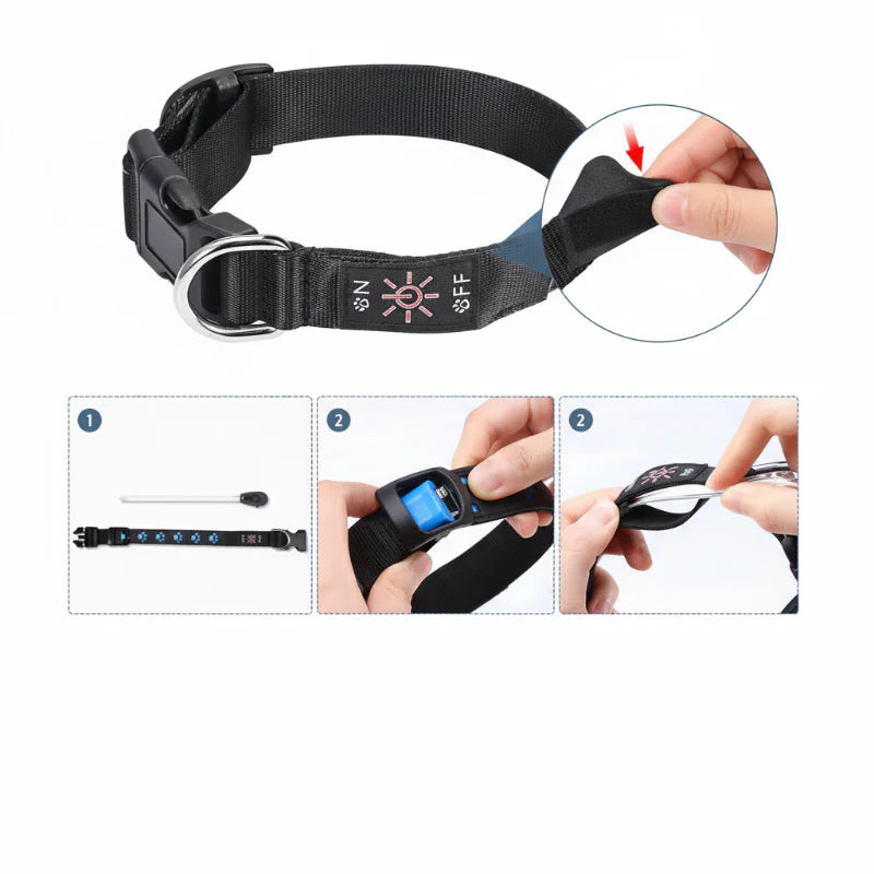 Collier LED Multicolore 7 Modes Pour Chat et Chien