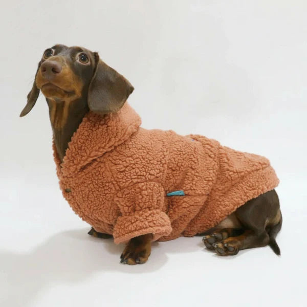 Pull Polaire Capuche Pour Chien Teckel - Les Bonnes Affaires