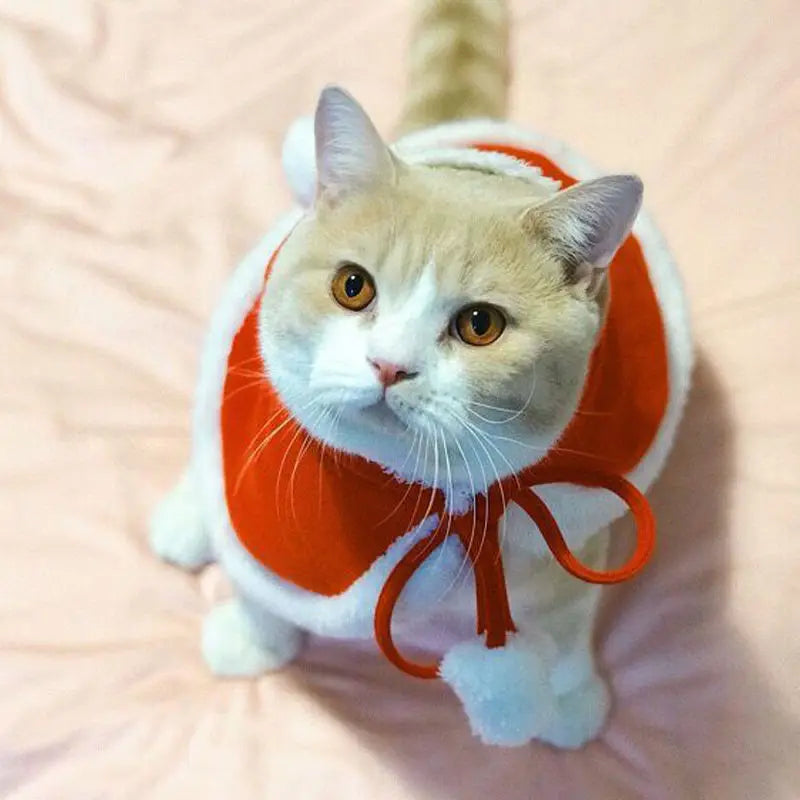 Déguisement Noël Chat