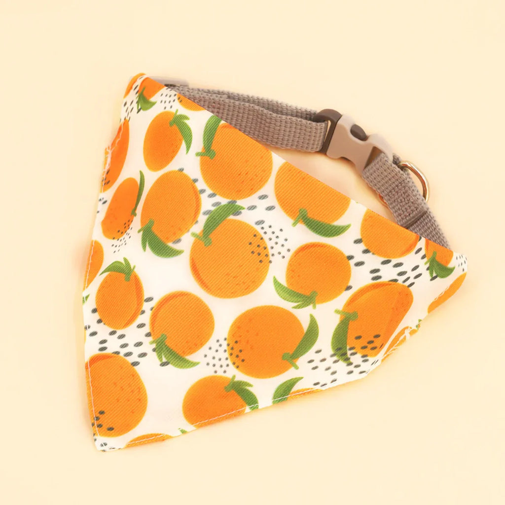 Bandana Chien Fruit Orange