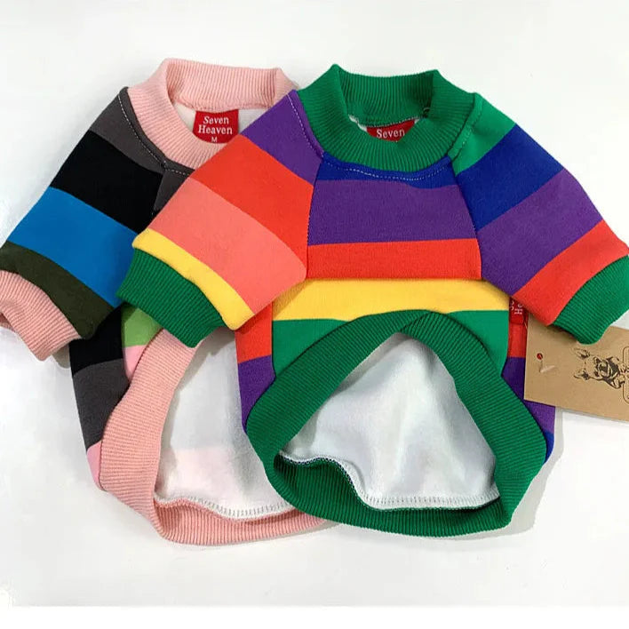 Pull Chien Maître Femme
