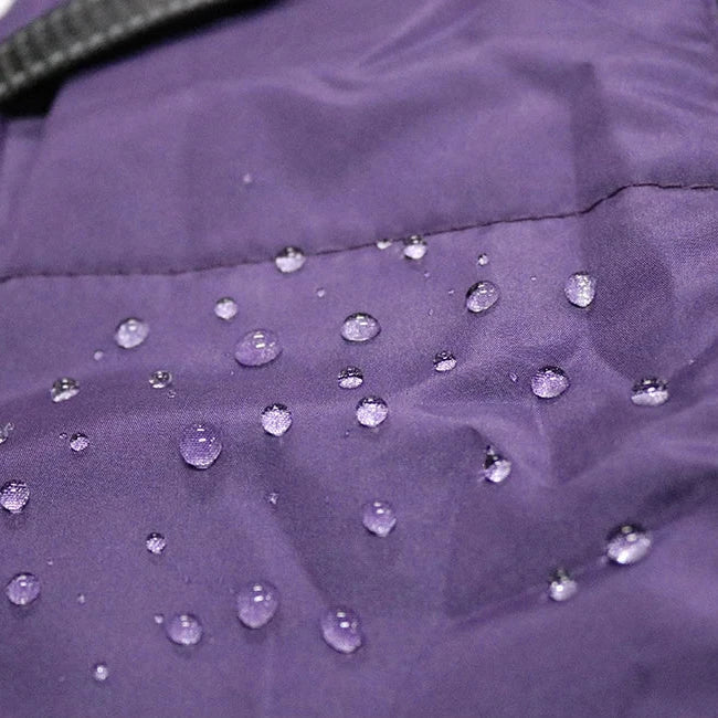 Veste Fourrure Chien