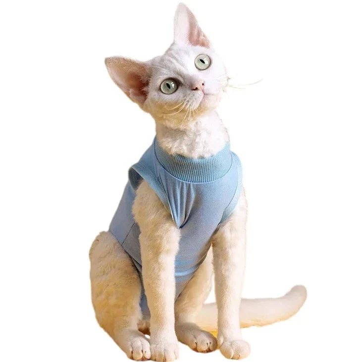 Body Post Opératoire Chat