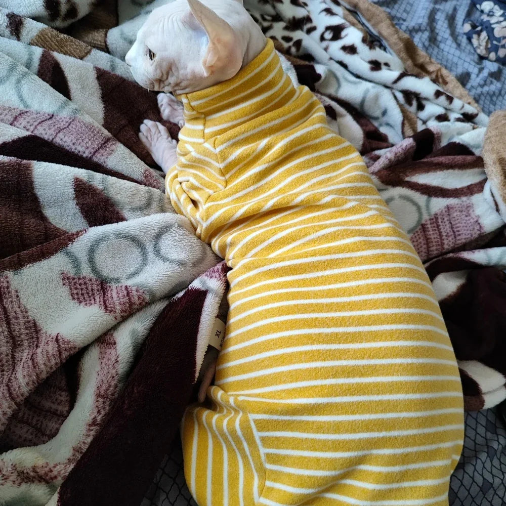 Pull Rayé Col Roulé pour Chat