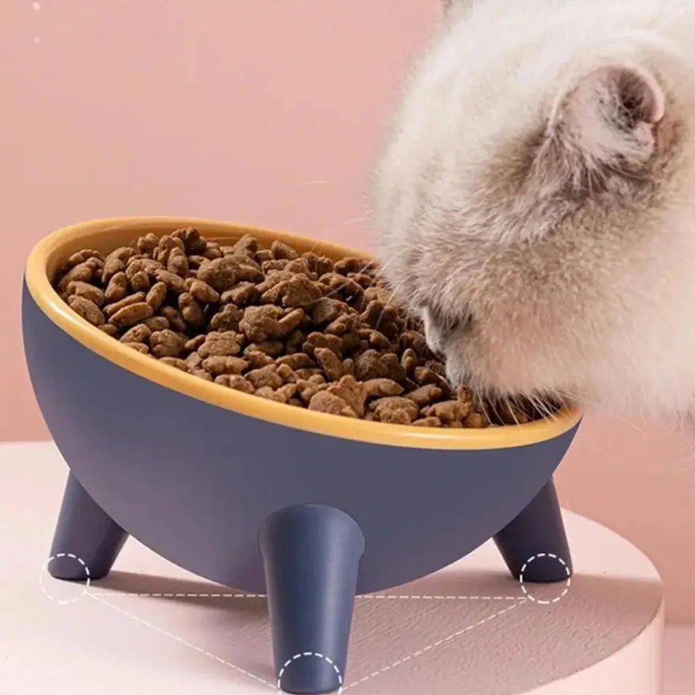 Gamelle Surélevée Inclinée Antidérapante Pour Chat Et Petit Chien